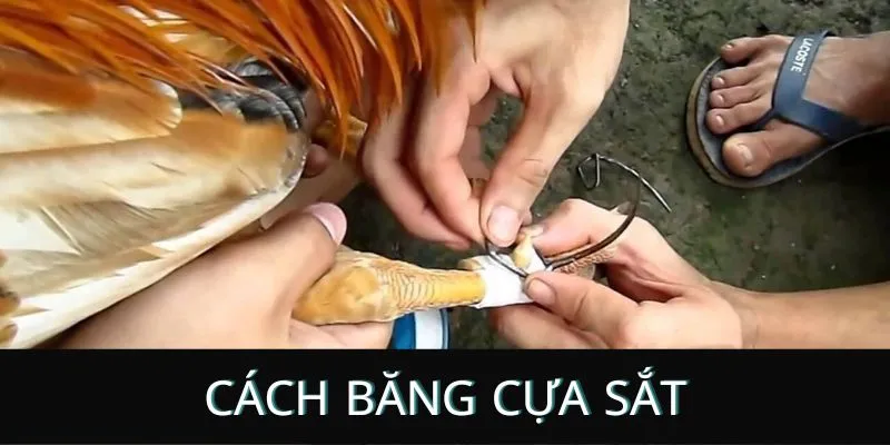 Cách băng cựa sắt